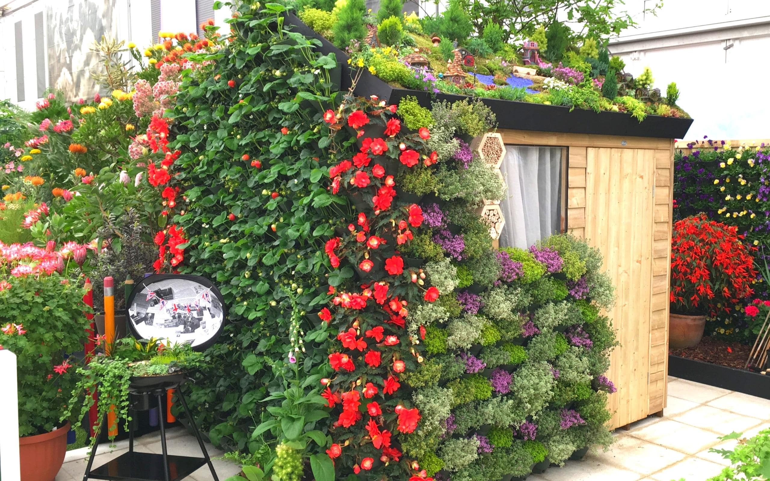 This is an image demonstrating how any vertical surface can be used as a vertical farming location. This image shows a shed with edibles and herbs growing on each wall surface making Wonderwall the perfect solution to grow your own foods.