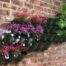 This is an image of brick wall decor using Wonderwall living wall system planted up with annuals and potted herbs.