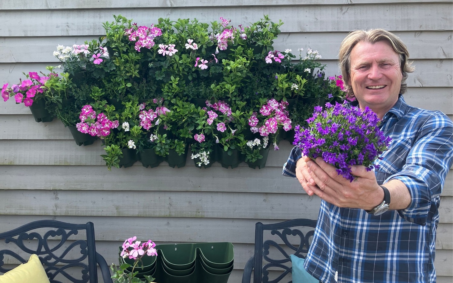 David Domoney stood in front of a shed with a Wonderwall attached and holding a purple potted plant.